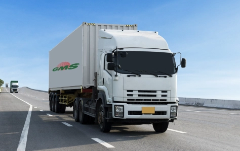 GMS Domestic Services